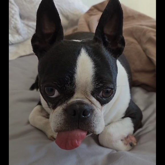 Hello Everyone 🥰💎❤️💖⚘️💍🥂 - Picture 13 of 17